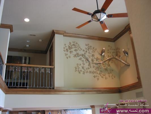 310842_242510549118055_4708817_n