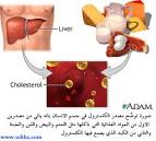 اهم الاطعمة التى تسهم فى خفض نسبة الكولسترول فى الجسم. 344444444444444 اهم الاطعمة التى تسهم فى خفض نسبة الكولسترول فى الجسم.
