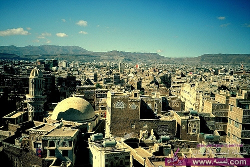 355822949_0f18fcdab7