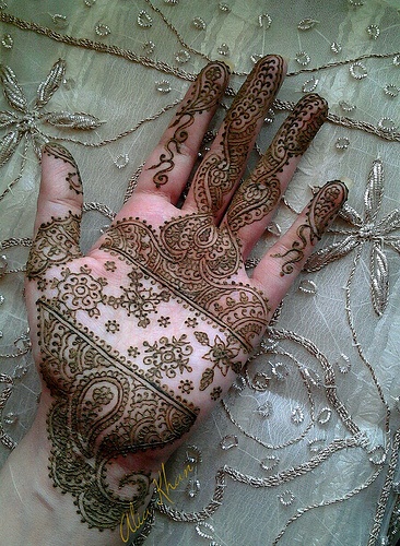 3ab6d1c7ec8ba76460bf5ec9e31cc36a