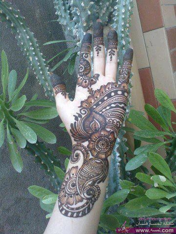 486243_452011201501035_655795759_n