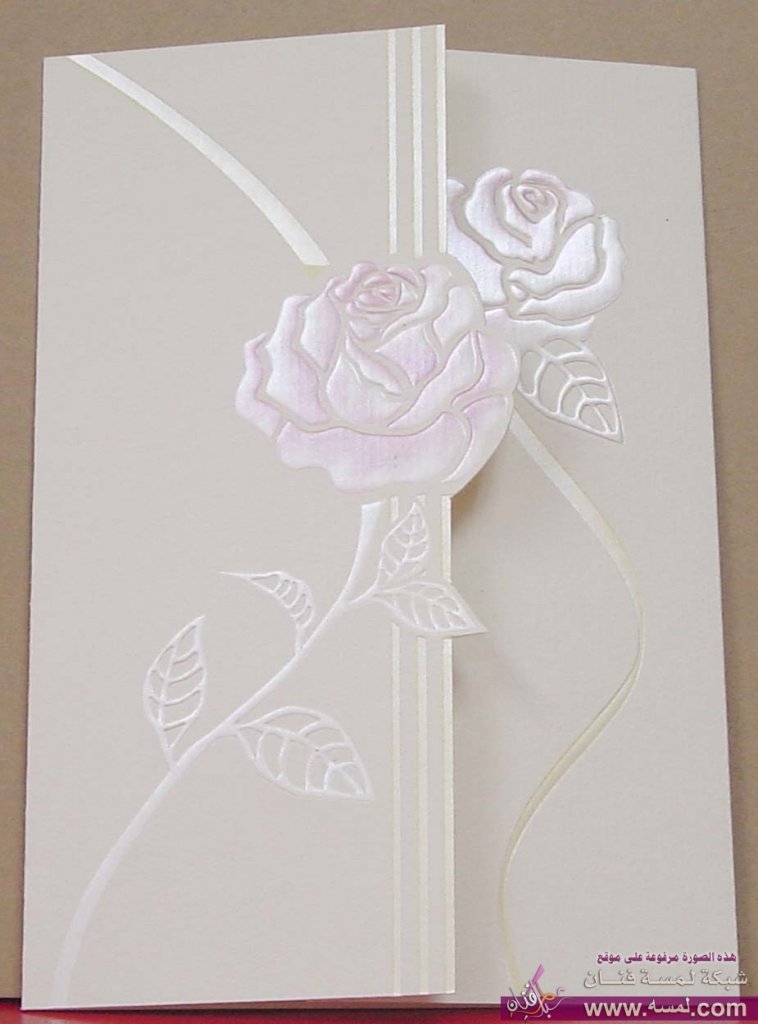 4nid8h0qcrtsa7jgjlqt