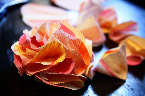 5076607835_ca3ef0e22f