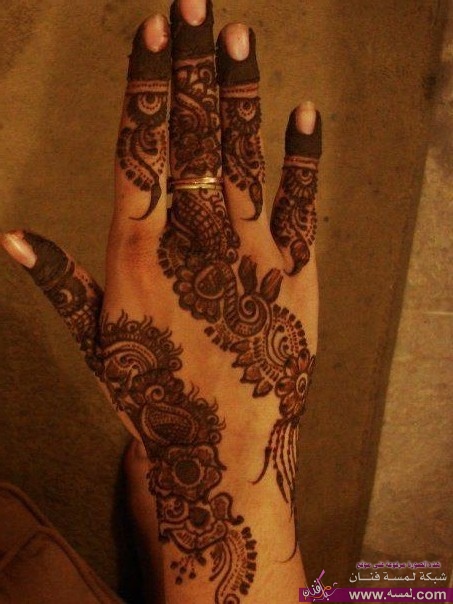 528611_329599323772734_1383980398_n