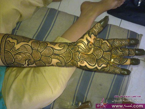 543475_506892332679588_880358408_n