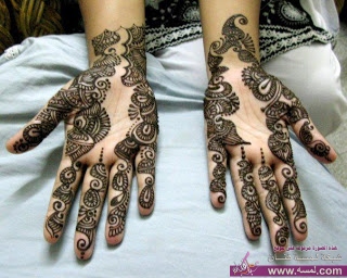 558870_426132307423481_138502418_n