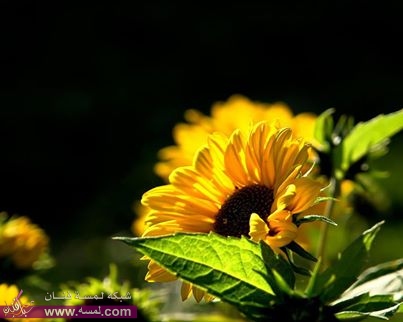 5681_163474957157095_1798482204_n