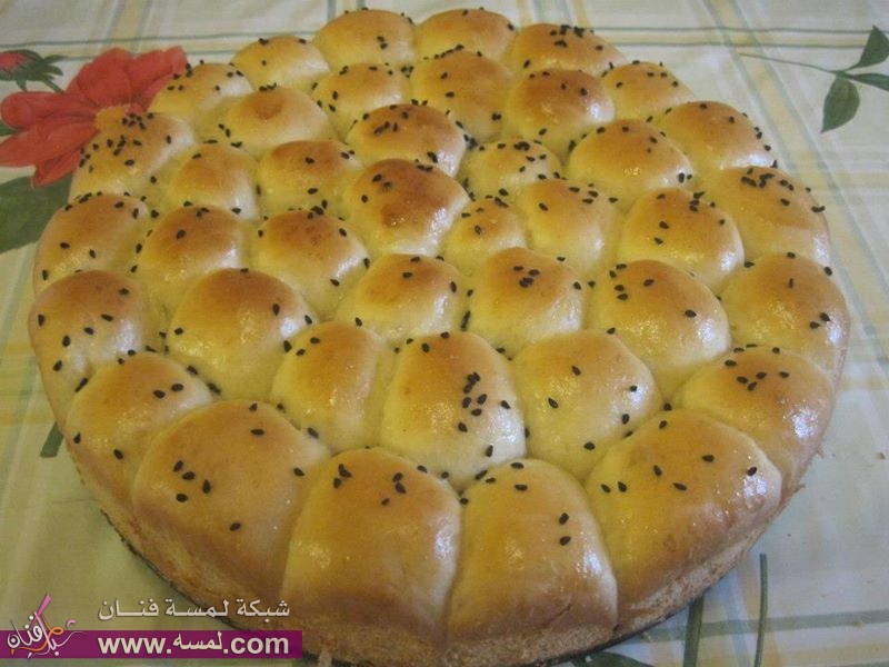 خلية النحل روعه 580332 4327653361253 826424929 n خلية النحل روعه