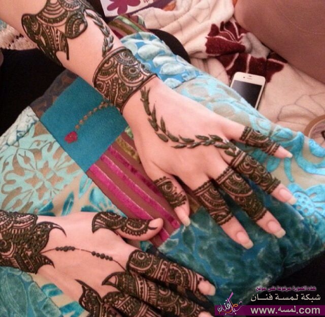 76fef9986a4b3a1cc047dfea18420e00