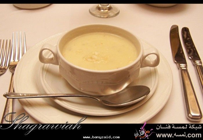 شوربة كريما الدجاج 85335fabfb 700x483 شوربة كريما الدجاج