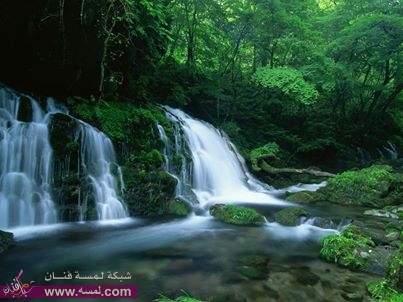 8773_163479450489979_1784607104_n