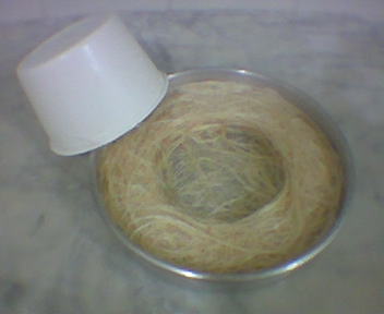 8f53196aa3df9c690789ac44d571a3b2