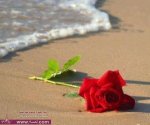 قصة صبر المرأة لا يقدر وسترها على زوجها الخائن قصة صبر المرأة لا يقدر وسترها على زوجها الخائن