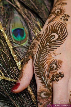 9290a5d055f8e859d2540c59371e1de3