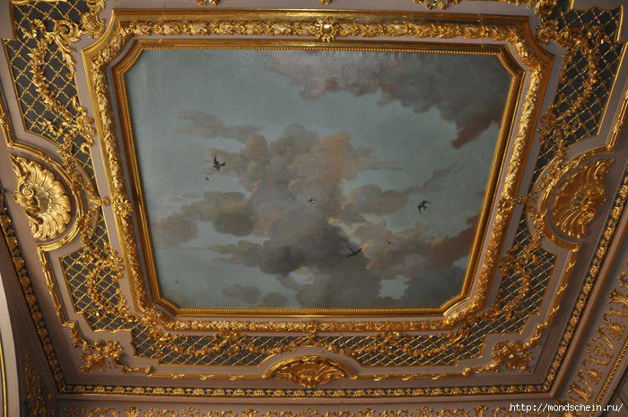 934968_464671430274051_679560850_n