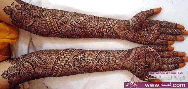 960256_528639143839463_339668479_n