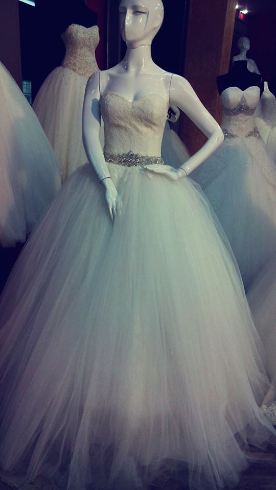 984237_1572569722978871_5664573339919659349_n