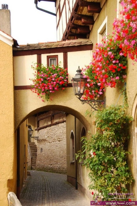 Beautiful-Garden-House-Photos-5