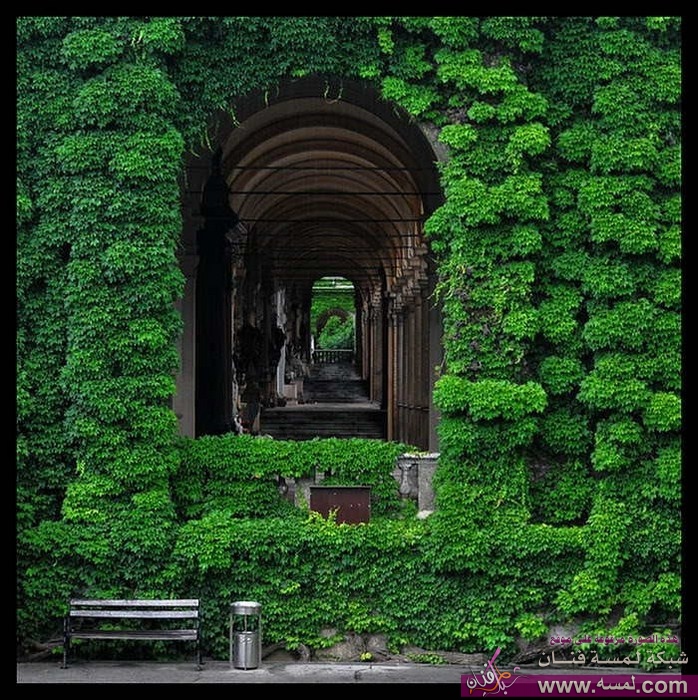 Beautiful-Garden-House-Photos-8