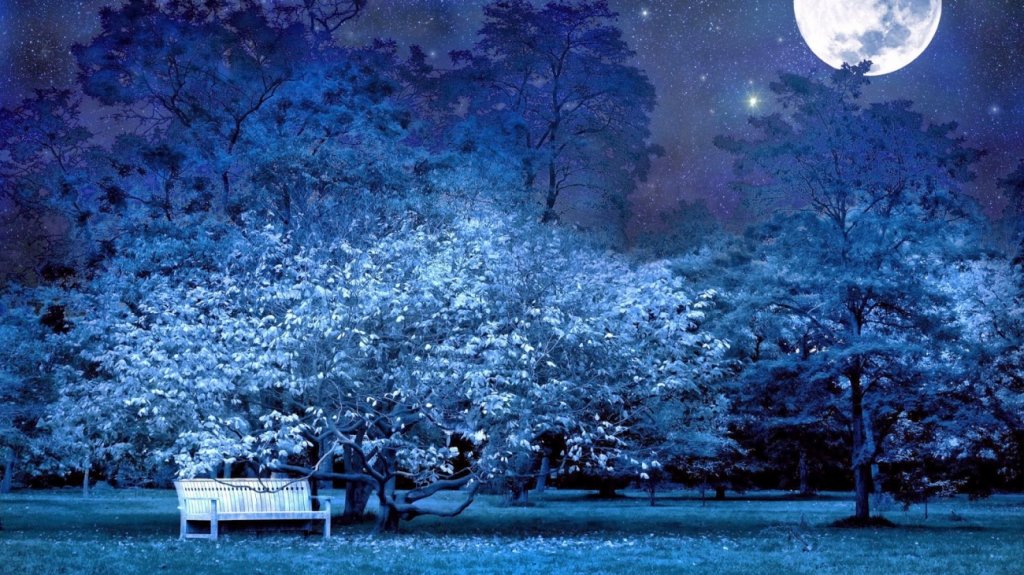 D8B5D988D8B12CD8A7D984D984D98AD9842CD8ACD8B2D98AD8B1D8A9D8AE