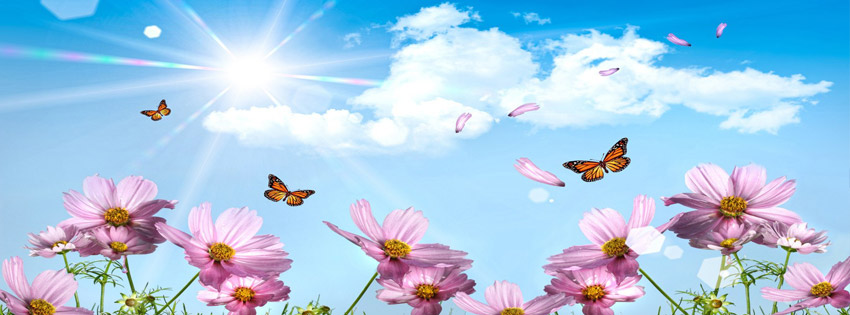 Flowers-and-sky-facebook-cover