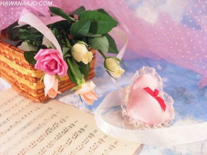 صور ورود حمراء تعبر عن الحب شكلها تجنن رومانسية تأخذ القلب