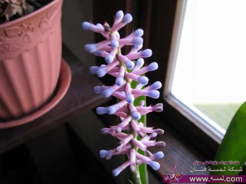 Matchstick-Modeling-Art-10