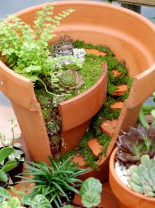 Natureworks-2012-Ambers-Pot-767x1024