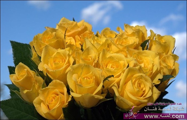 YellowARosesBouquet_thumb