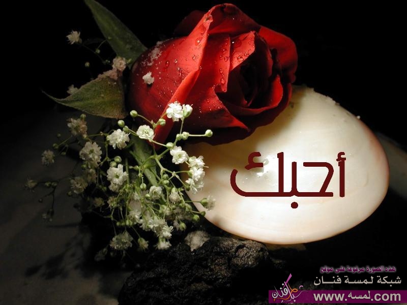 اجمل واروع صور حب 2015 almastba.com 1389665821 324 اجمل واروع صور حب 2015