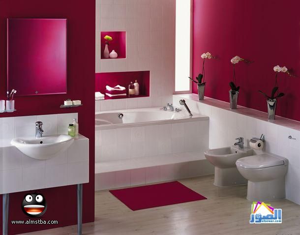 almstba.com_1344455910_978