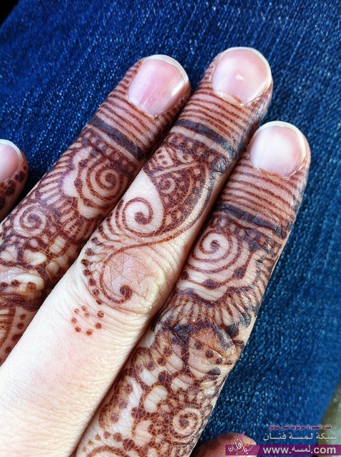 b109e30656a991fa98240ac341c8781b