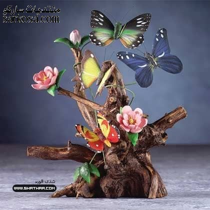 b822cb108033eec9058535e5c5b154ab