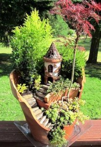 bonsai-ağaç