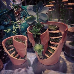 broken-flower-pot-fairy-gardens-15