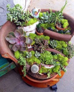 broken-flower-pot-fairy-gardens-4