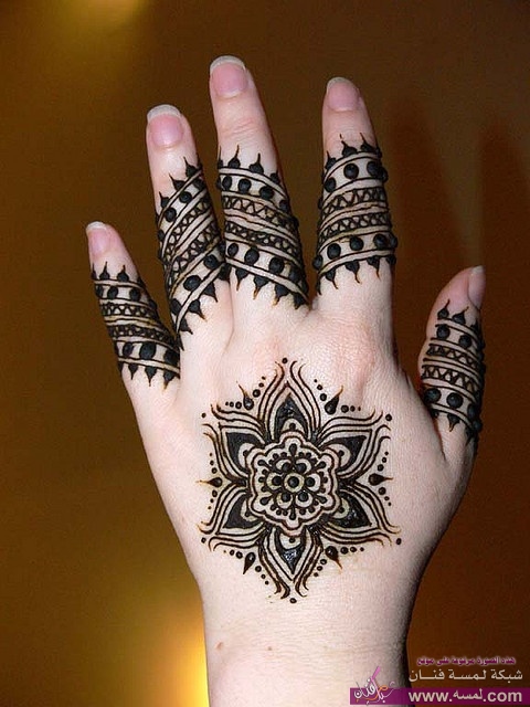 c0ada00cf221cb97dd7d71c89c24e00e