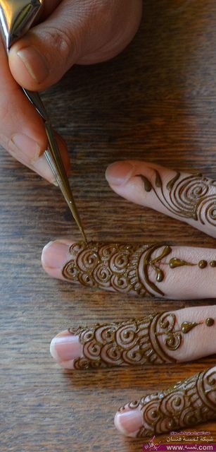 d58ad50e3dafd8b60b9917da195bd87e