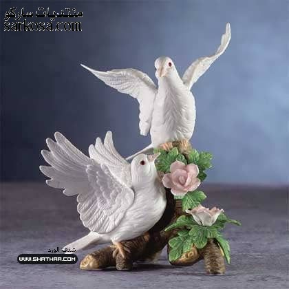 edb127829105c464bb6dc21c992a9ffc