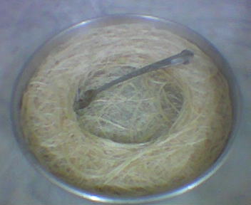 f1240c3c70625d377e5a59897ecb6656