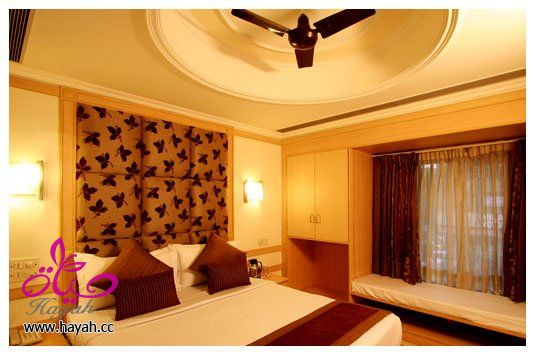 hayahcc_1355409979_603