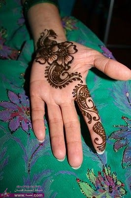 hwaml.com_1336930927_565