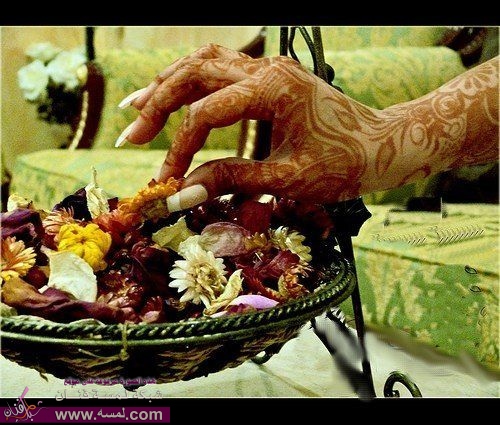 hwaml.com_1336930938_124