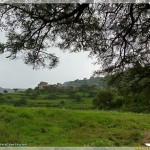 مدينة إب صيف تصوير أبو مالك روعه مدينة إب صيف تصوير أبو مالك روعه