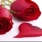 imagesحححححححح