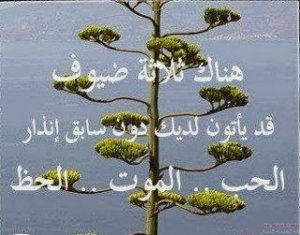 img_girls-ly1391682411_778