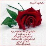 اجمل الرسائل والمسجات للمتزوجين قبل النوم اجمل الرسائل والمسجات للمتزوجين قبل النوم