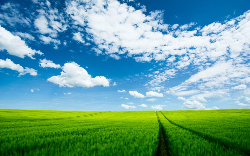 landscapes (10)