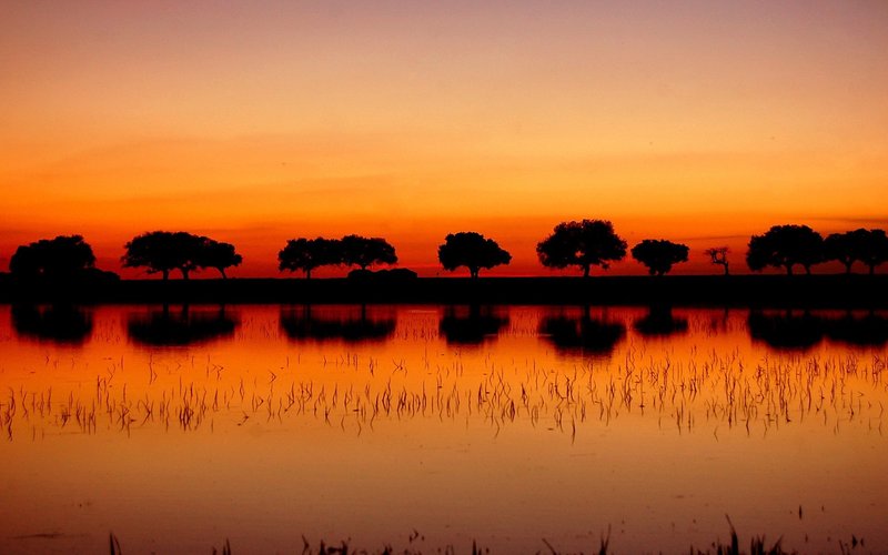 landscapes (11)