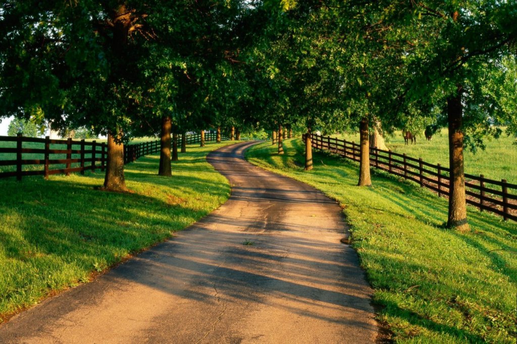 landscapes (12)